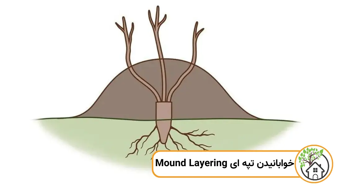 خوابانیدن تپه ای