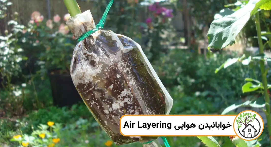 خوابانیدن هوایی