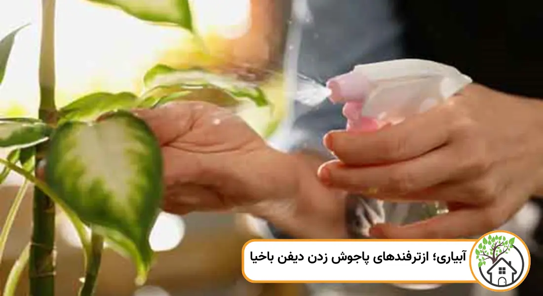آبیاری؛ از روش های پاجوش زدن دیفن باخیا