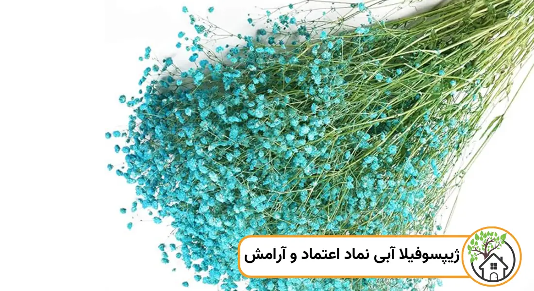 نماد گل ژیپسوفیلا آبی