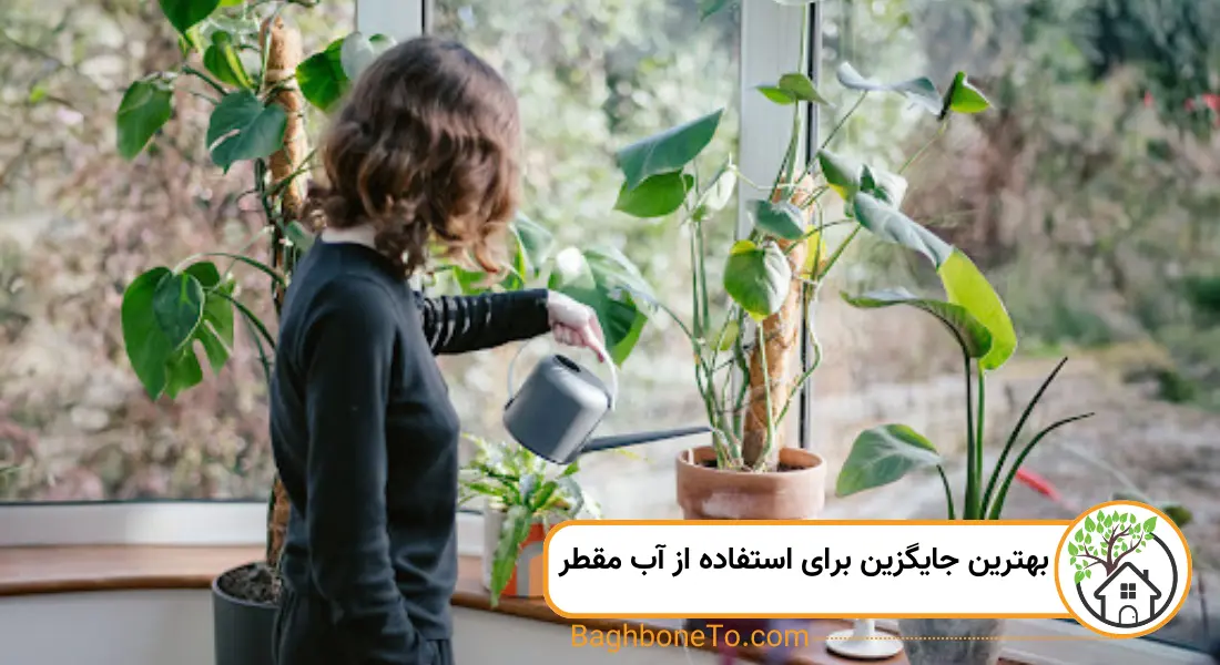 - بهترین جایگزین برای استفاده از آب مقطر