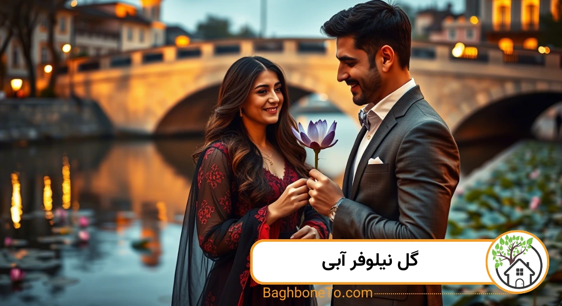 گل نیلوفر ابی