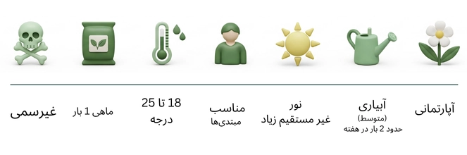 تصویر داخل صفحه محصول