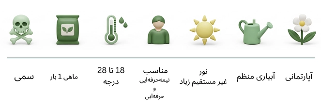 تصویر داخل صفحه محصول