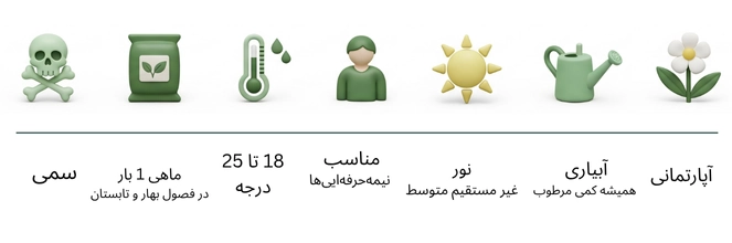 تصویر داخل صفحه محصول 