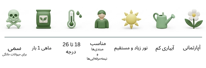 تصویر داخل صفحه محصول