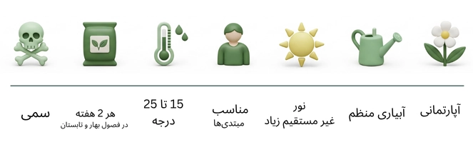 تصویر داخل صفحه محصول 