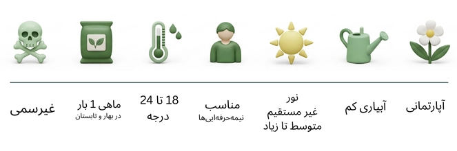 تصویر داخل صفحه محصول