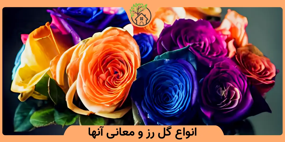 انواع گل رز و معانی آنها