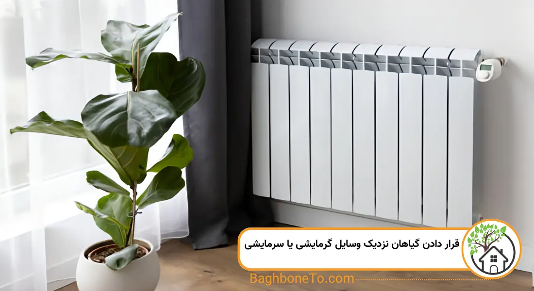 قرار دادن گیاهان نزدیک وسایل گرمایشی یا سرمایشی