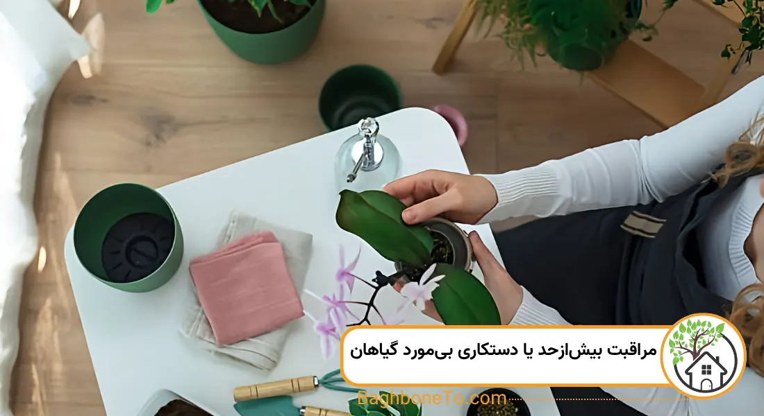 مراقبت بیش‌ازحد یا دستکاری بی‌مورد گیاهان