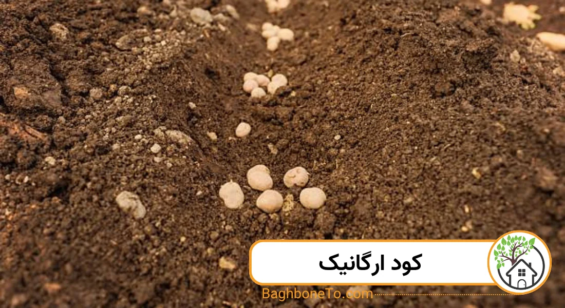 کود ارگانیک