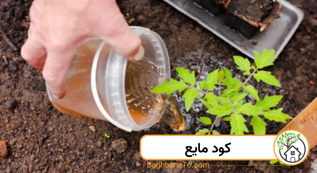 کود مایع