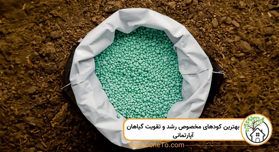 کودهای مخصو رشد و تقویت گیاهان آپارتمانی