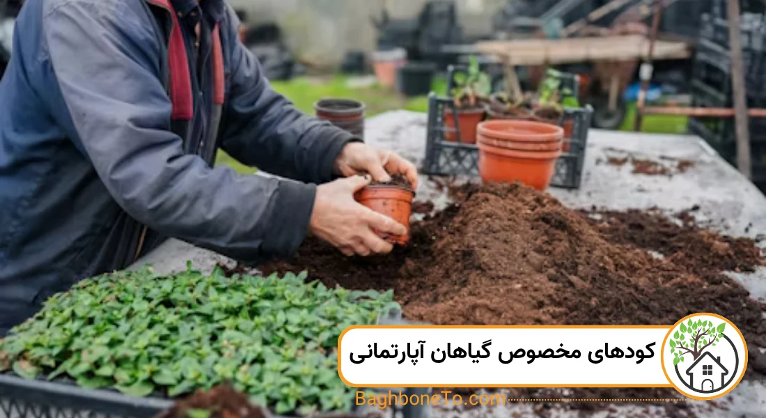 کودهای مخصوص گیاهان آپارتمانی