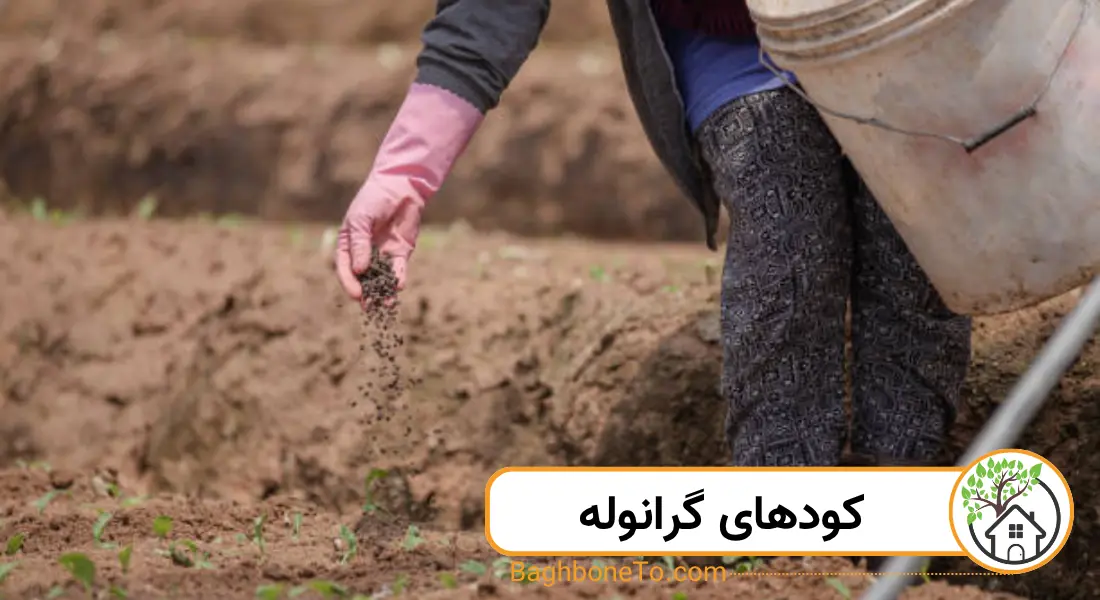 کودهای گرانوله
