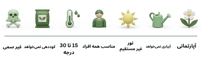 تصویر داخل متن درختچه جاودان