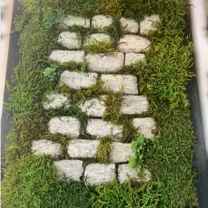 تابلو دکوراتیو با خزه تثبیت شده