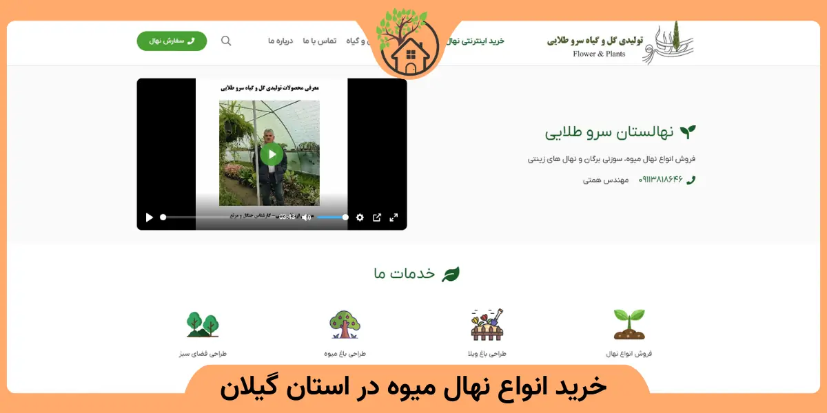 خرید انواع نهال میوه در استان گیلان