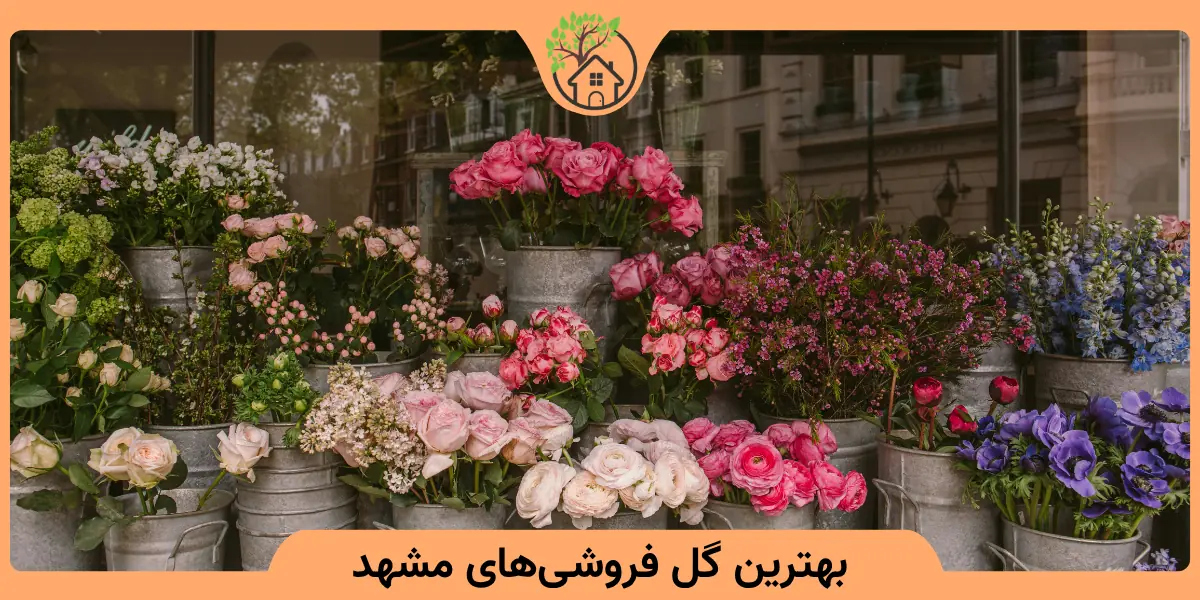 بهترین گل فروشیهای مشهد