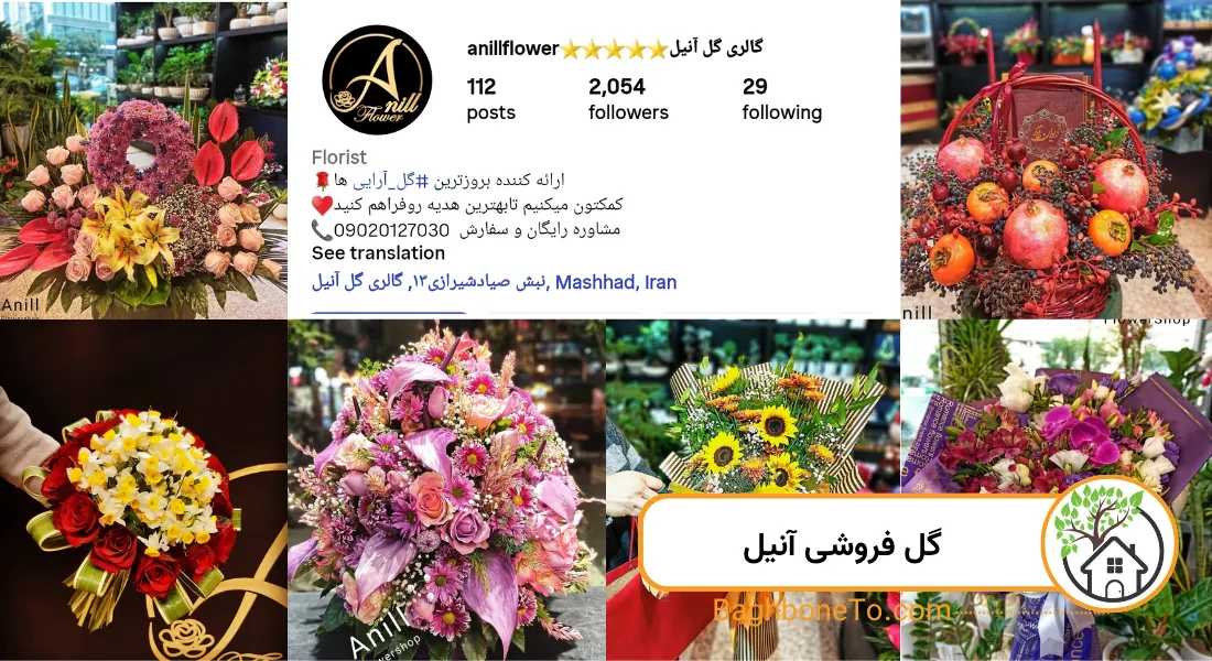 - گل فروشی آنیل