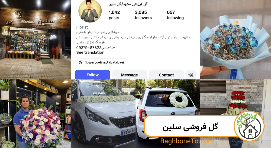 - گل فروشی سلین