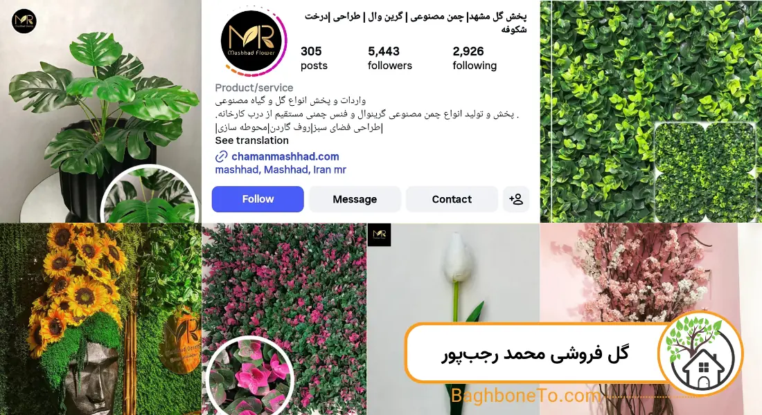 - گل فروشی محمد رجب پور