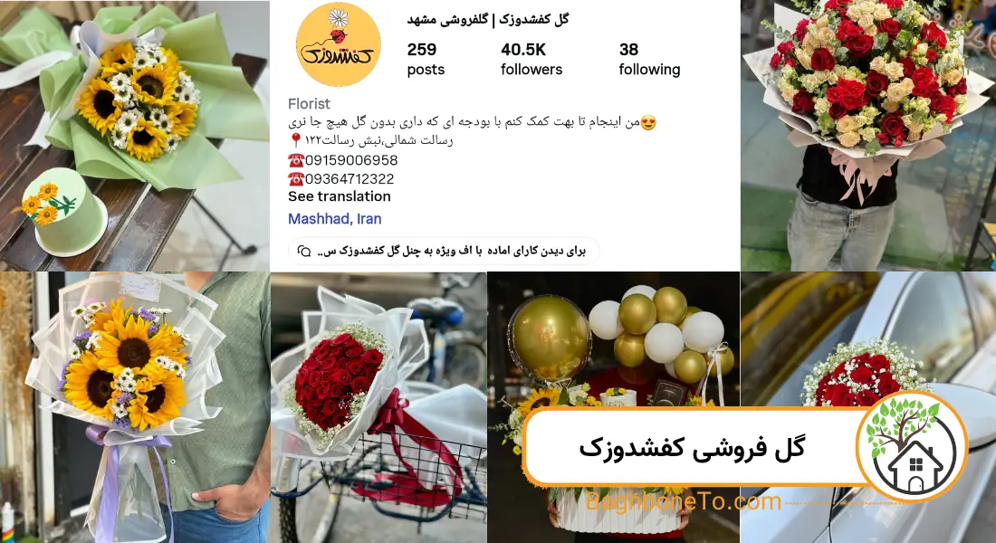 - گل فروشی کفشدوزک