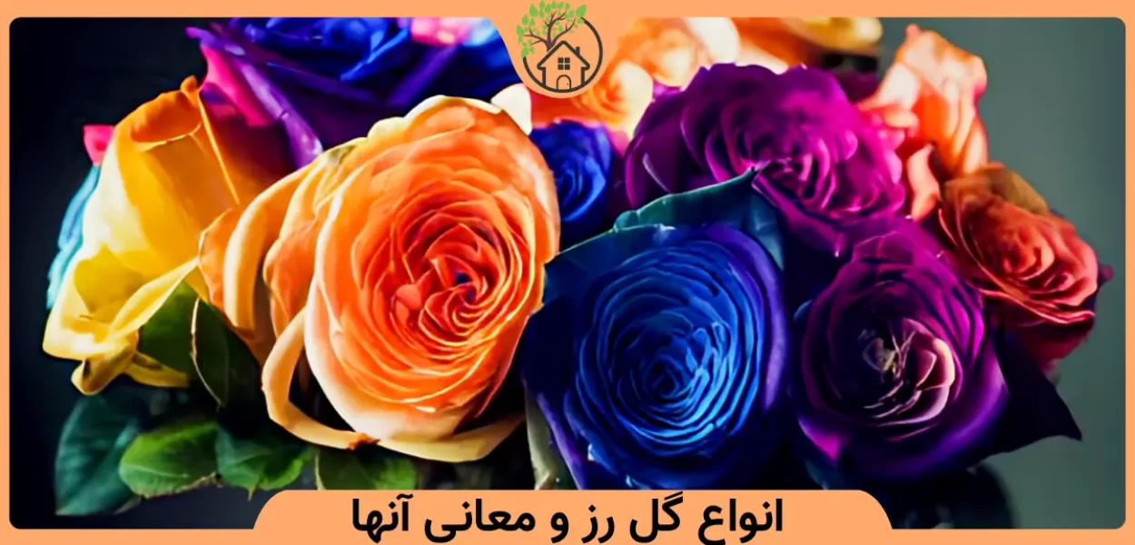 انواع گل رز و معانی آنها