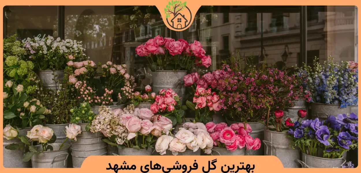 بهترین گل فروشی‌های مشهد
