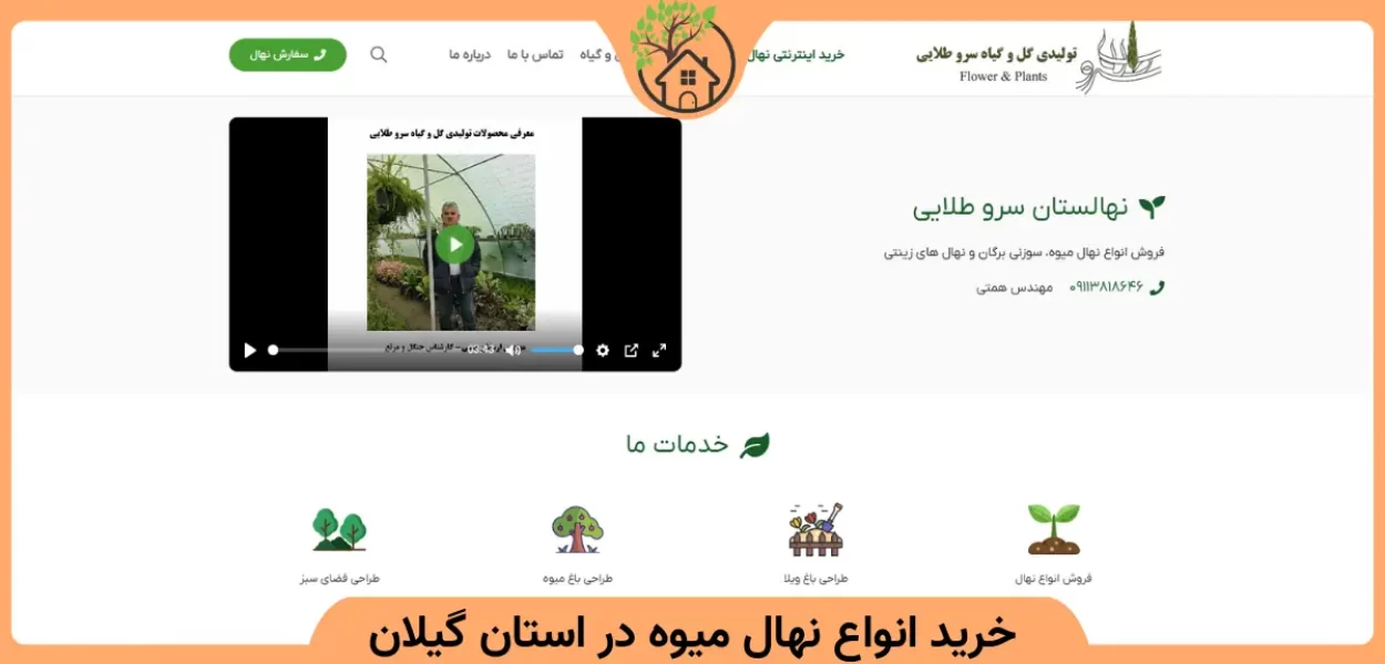 خرید انواع نهال میوه در استان گیلان